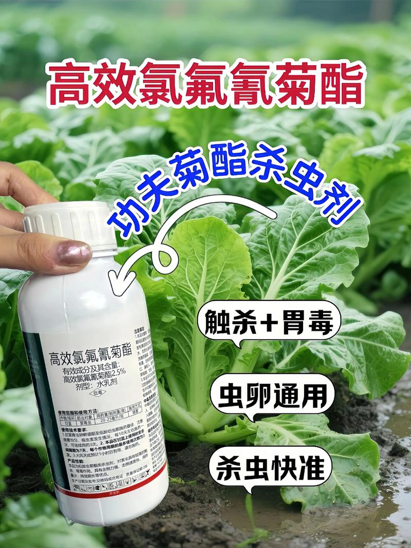 枣庄代生中心:农药对供卵代生妈妈的危害